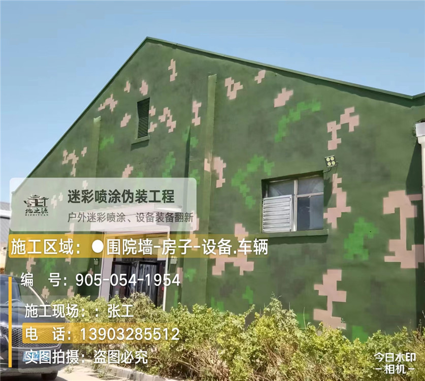 丽水外墙数码迷彩漆施工报价清单（100㎡标准墙面测算）